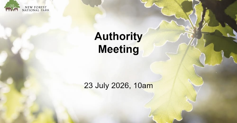 New Forest National Park Authority meeting notice: 23 July 2026, 10am, with oak leaves