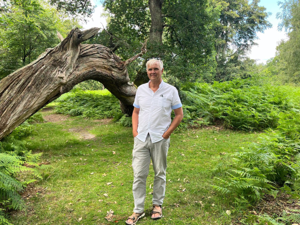 Man standing in a forest with a fallen tree and ferns