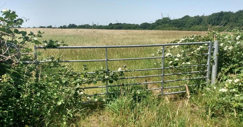 Metal gate in tall grass, overlooking a field with distant power lines, near Marchwood.