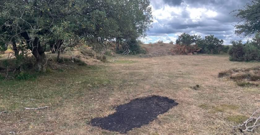 Wide open field with a burnt patch on the ground and trees in the background