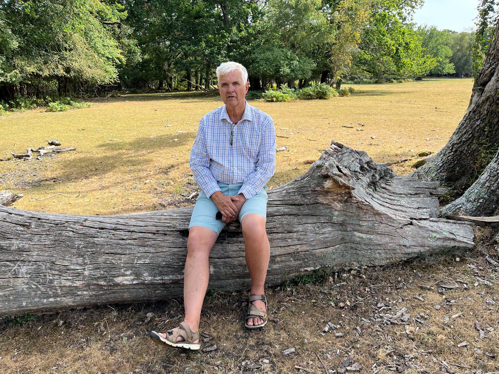 Man sitting on a fallen tree in a park