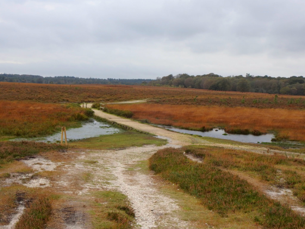 Heathland path with water features and trees under a cloudy sky.