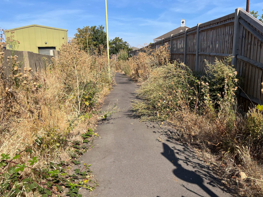 Overgrown footway in need of maintenance, with dry weeds and a wooden fence.