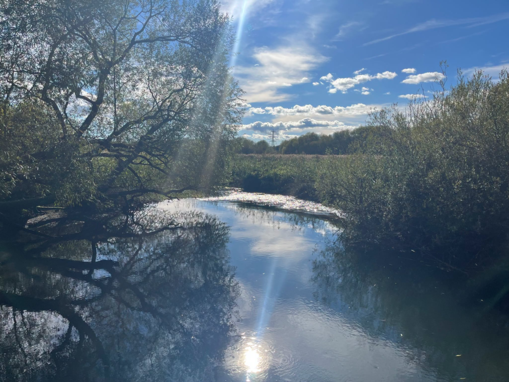 Sunny day over Hythe Road, Marchwood: calm river reflecting trees and sky