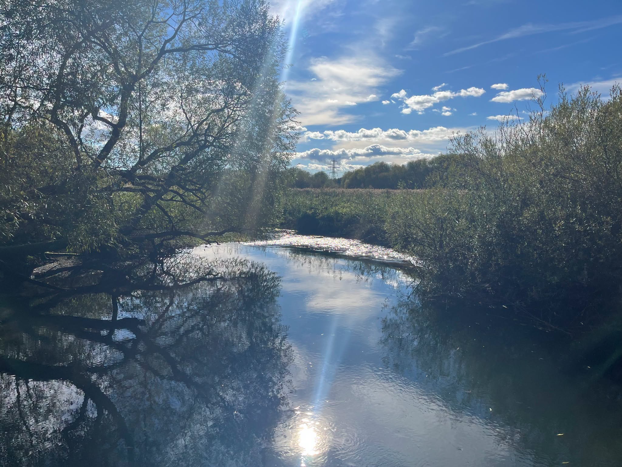 Sunny day over Hythe Road, Marchwood: calm river reflecting trees and sky