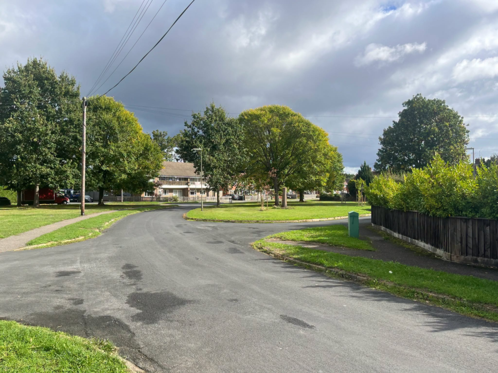 Quiet suburban street with mature trees and houses under a cloudy sky.
