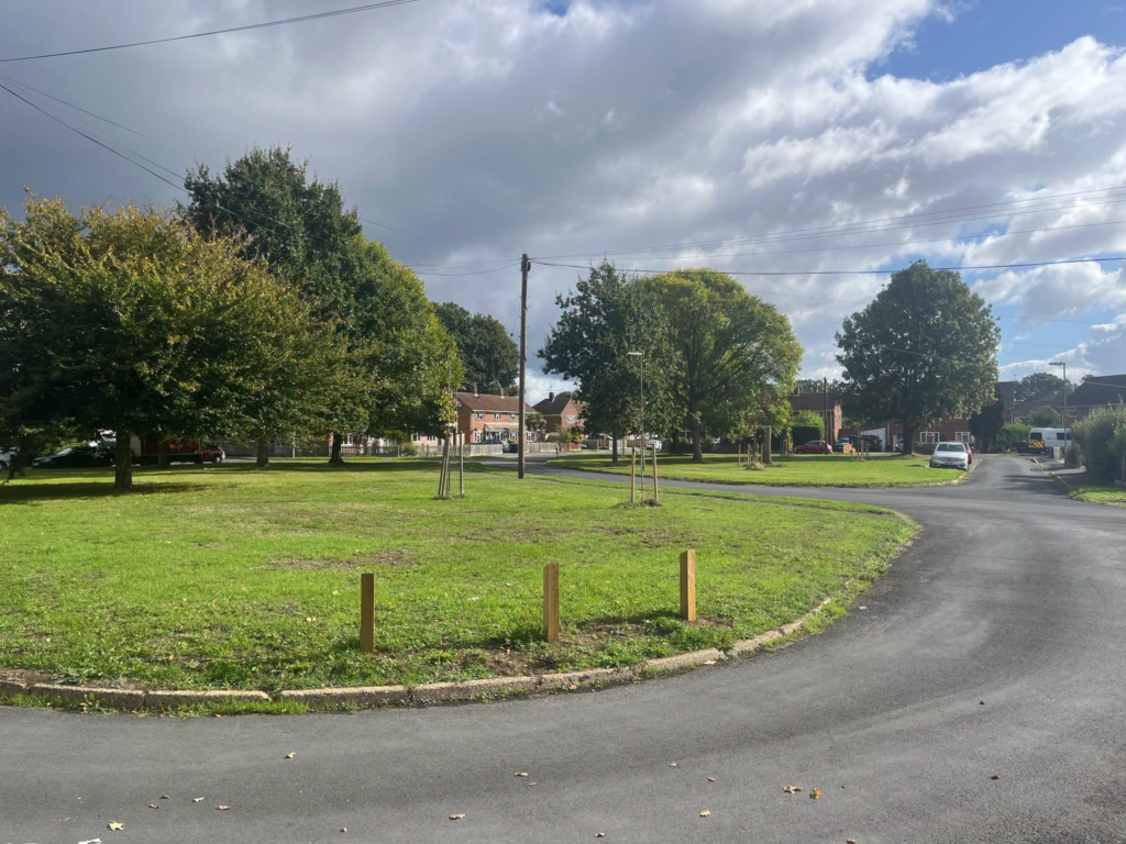Councillor David Harrison's cover photo: A suburban green space with trees and houses.