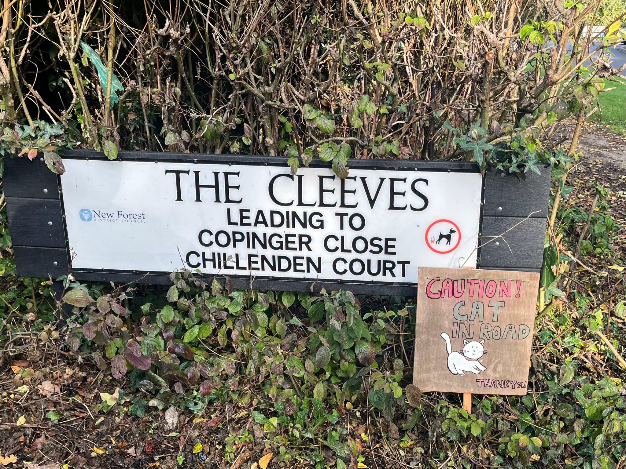 CAUTION! CAT IN ROAD sign next to The Cleeves street sign.